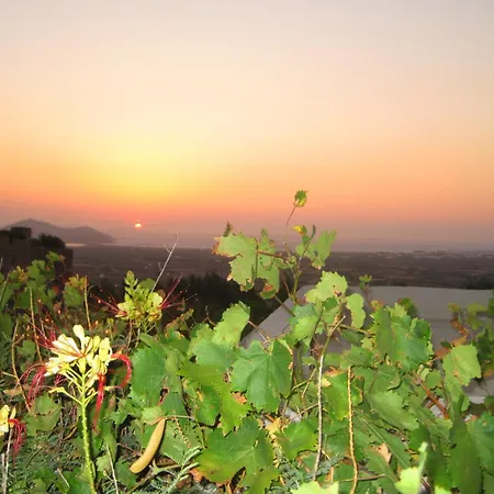 Feriehus Tsanakou Vineyard Glinado