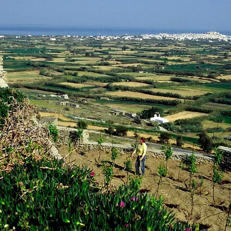 Tsanakou Vineyard Glinado Feriehus Mesokhórion